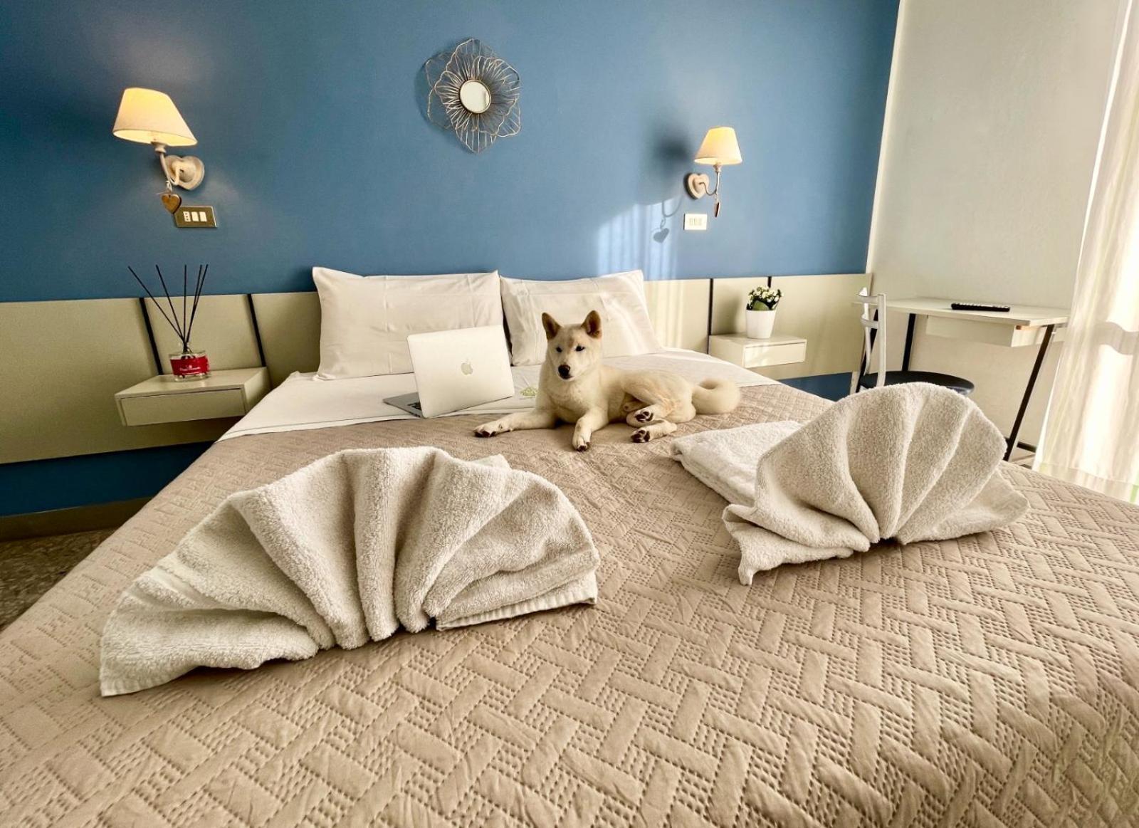 Hotel Alfa Anche In All Inclusive Rimini Eksteriør billede