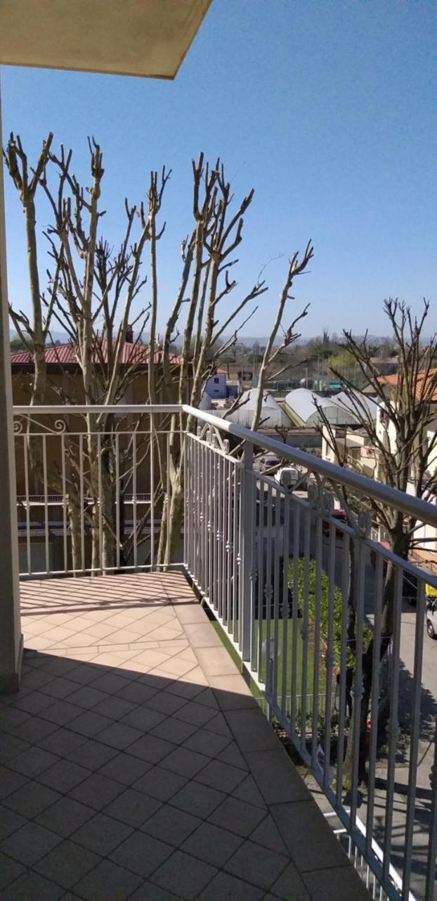 Hotel Alfa Anche In All Inclusive Rimini Eksteriør billede